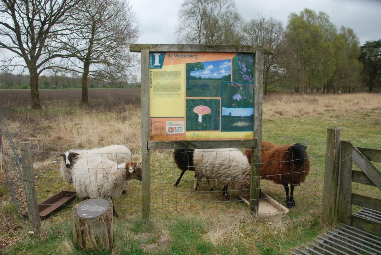 VriesAssen-Groningen-Saunacabine住宿加早餐旅馆 外观 照片