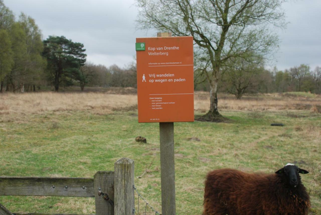 VriesAssen-Groningen-Saunacabine住宿加早餐旅馆 外观 照片