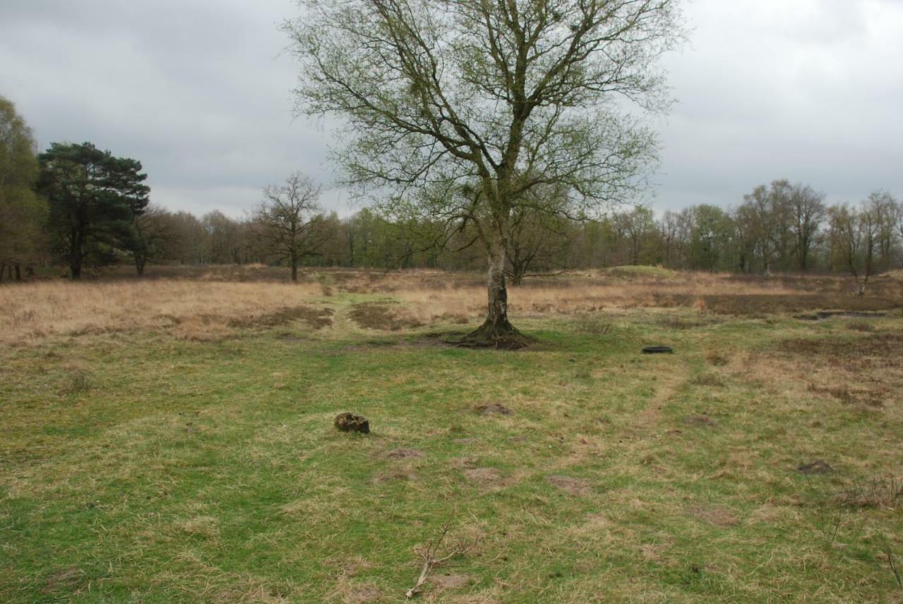 VriesAssen-Groningen-Saunacabine住宿加早餐旅馆 外观 照片